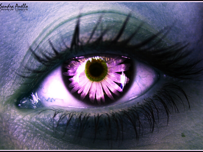 Eye with Flower Iris — Purple