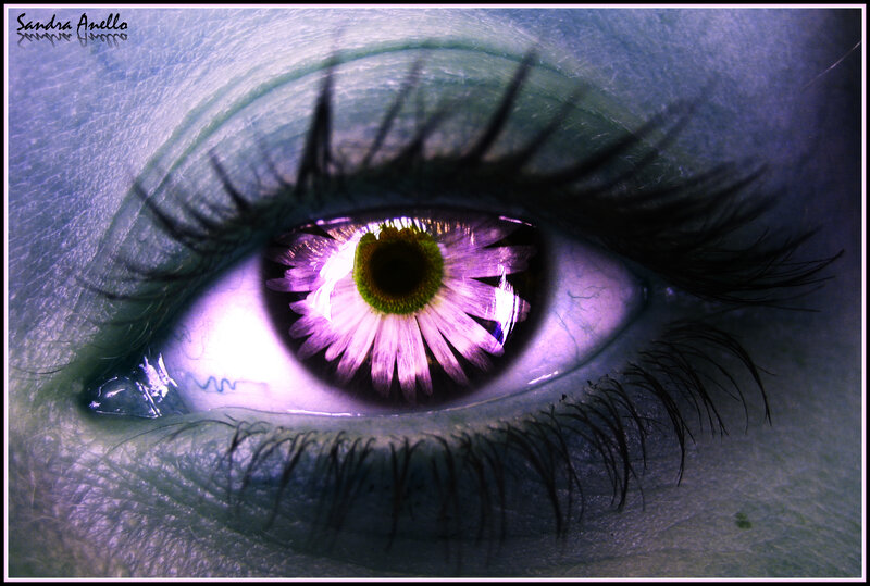 eye with flower iris