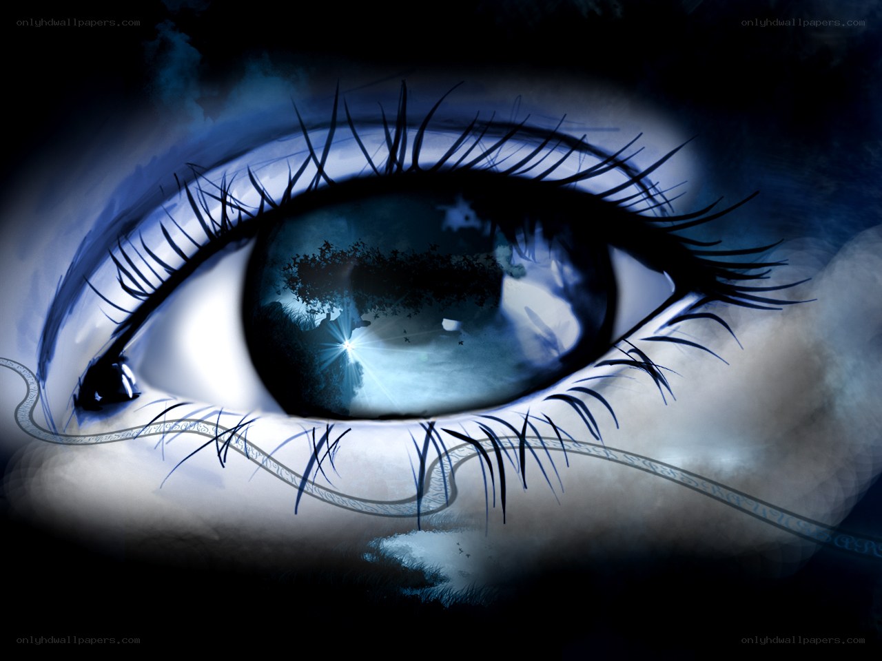 eye with forest reflection