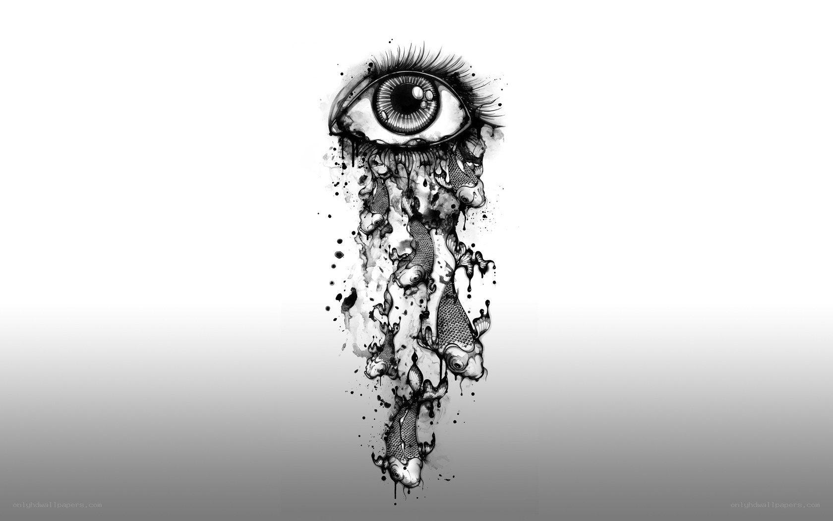 eye with koi fish tears