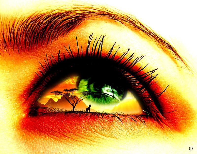 Eye with Landscape Reflection — Green