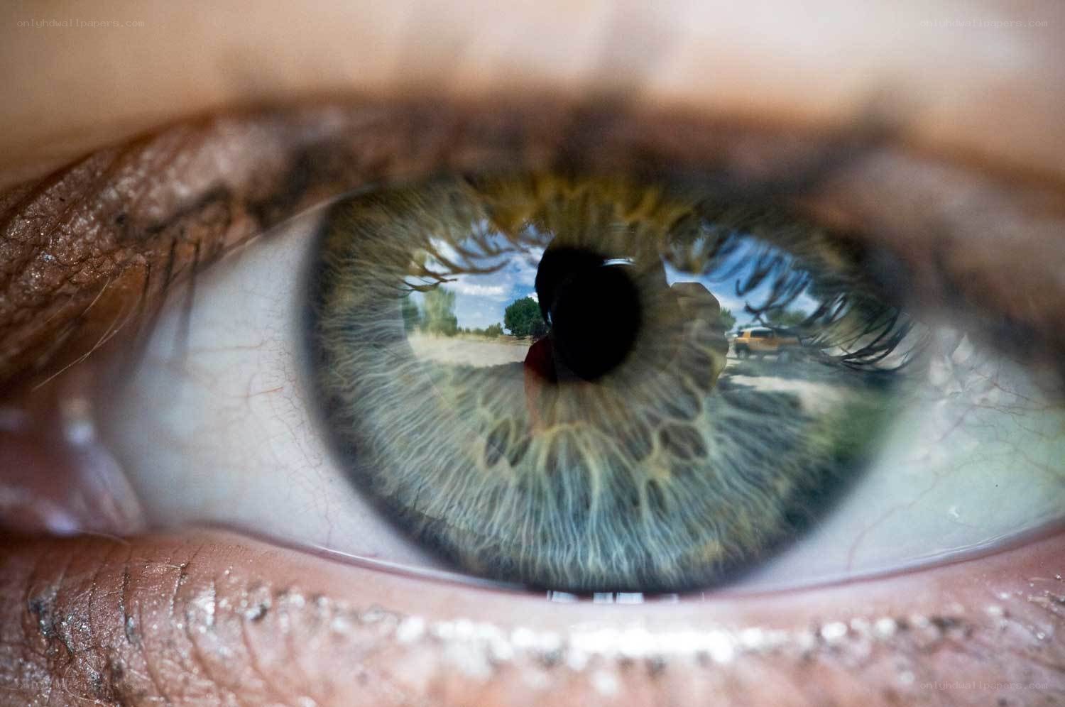 eye with landscape reflection