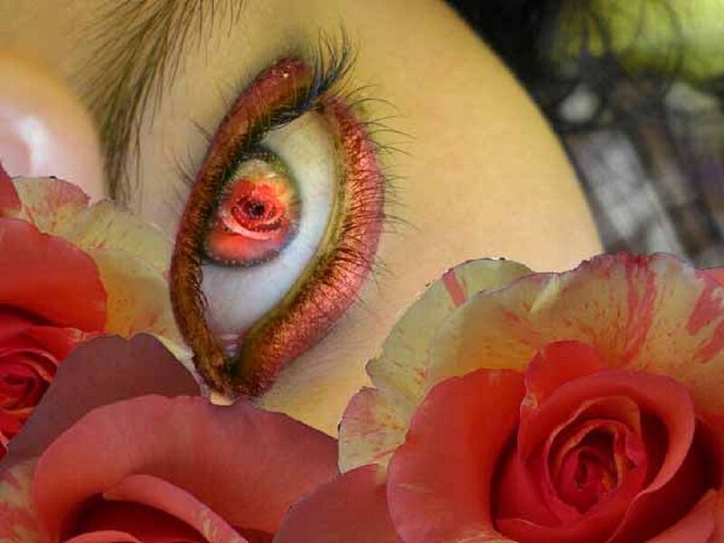 Eye with Makeup and Roses