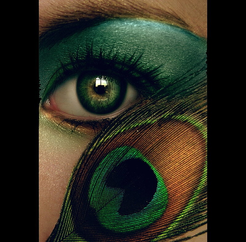 eye with peacock feather