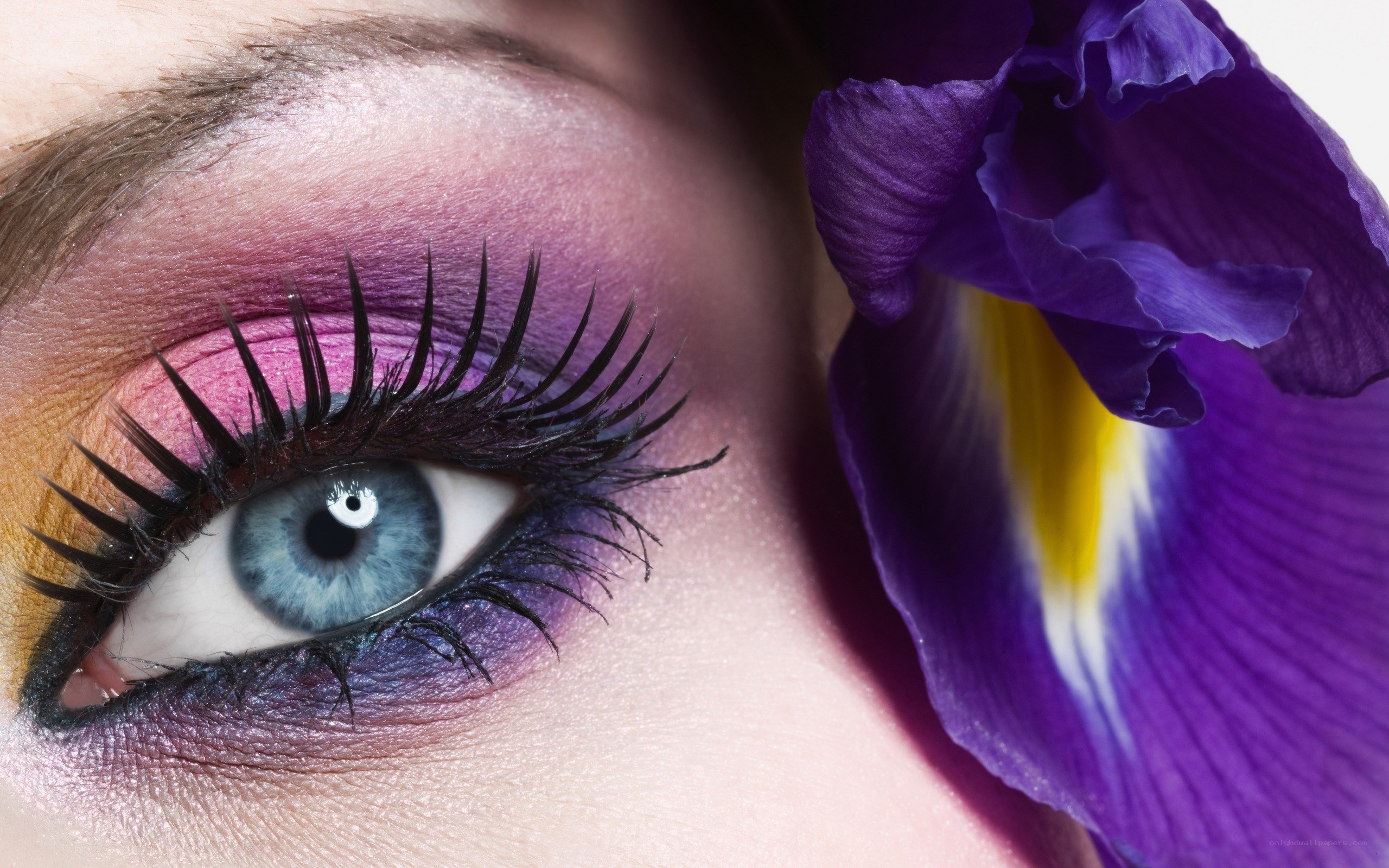 eye with purple makeup and iris