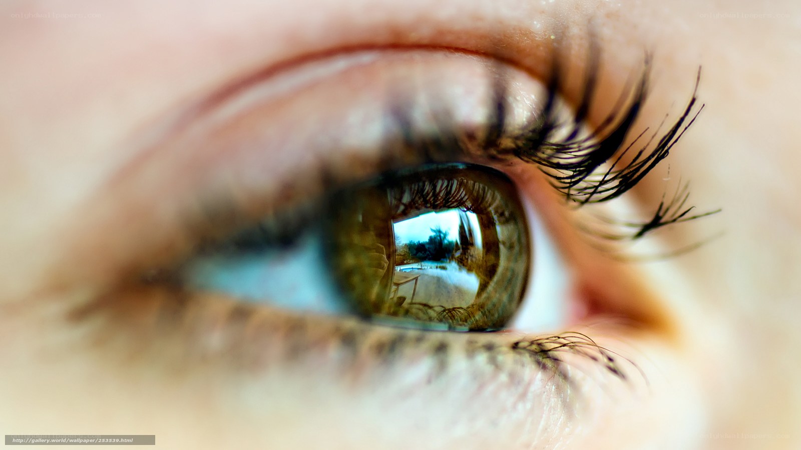 eye with reflection of landscape