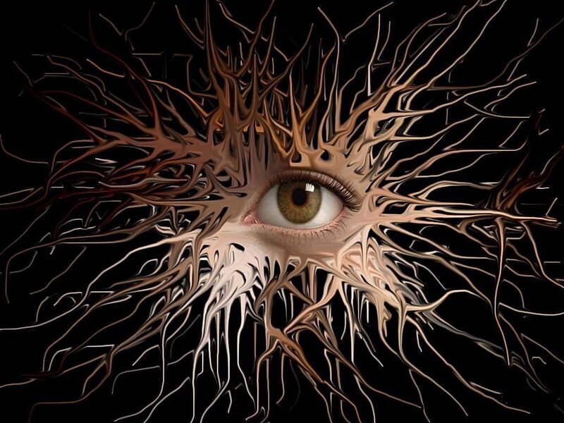 eye with root-like tendrils