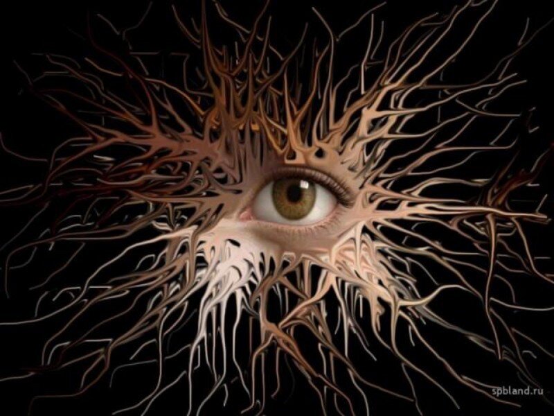 Eye with Root-like Tendrils — Brown