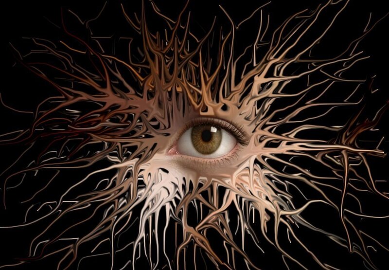 eye with root-like tendrils