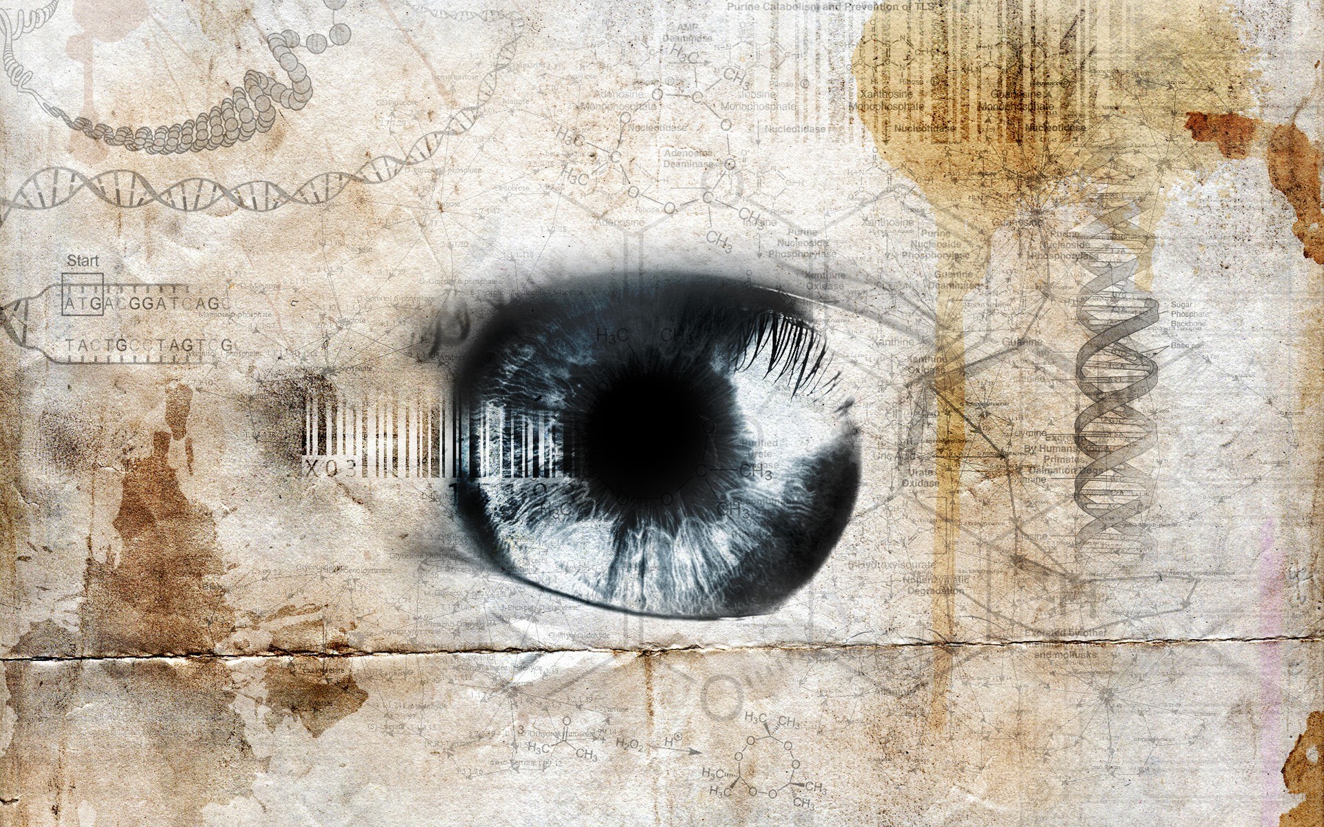 eye with scientific diagrams