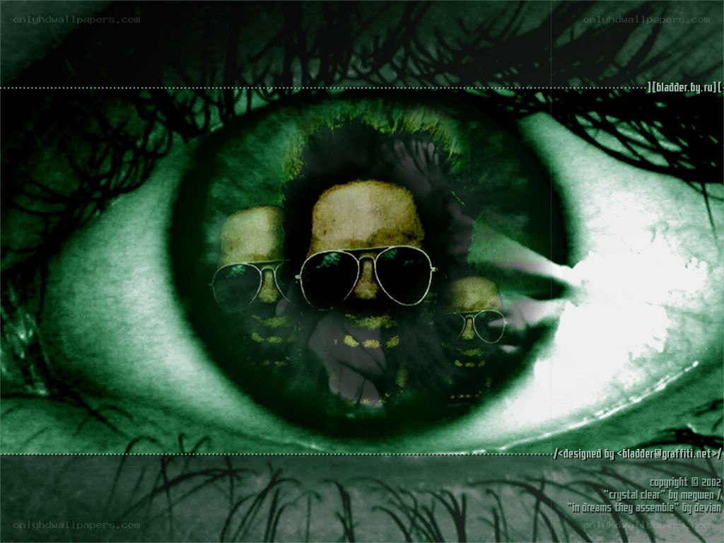 eye with skull reflection