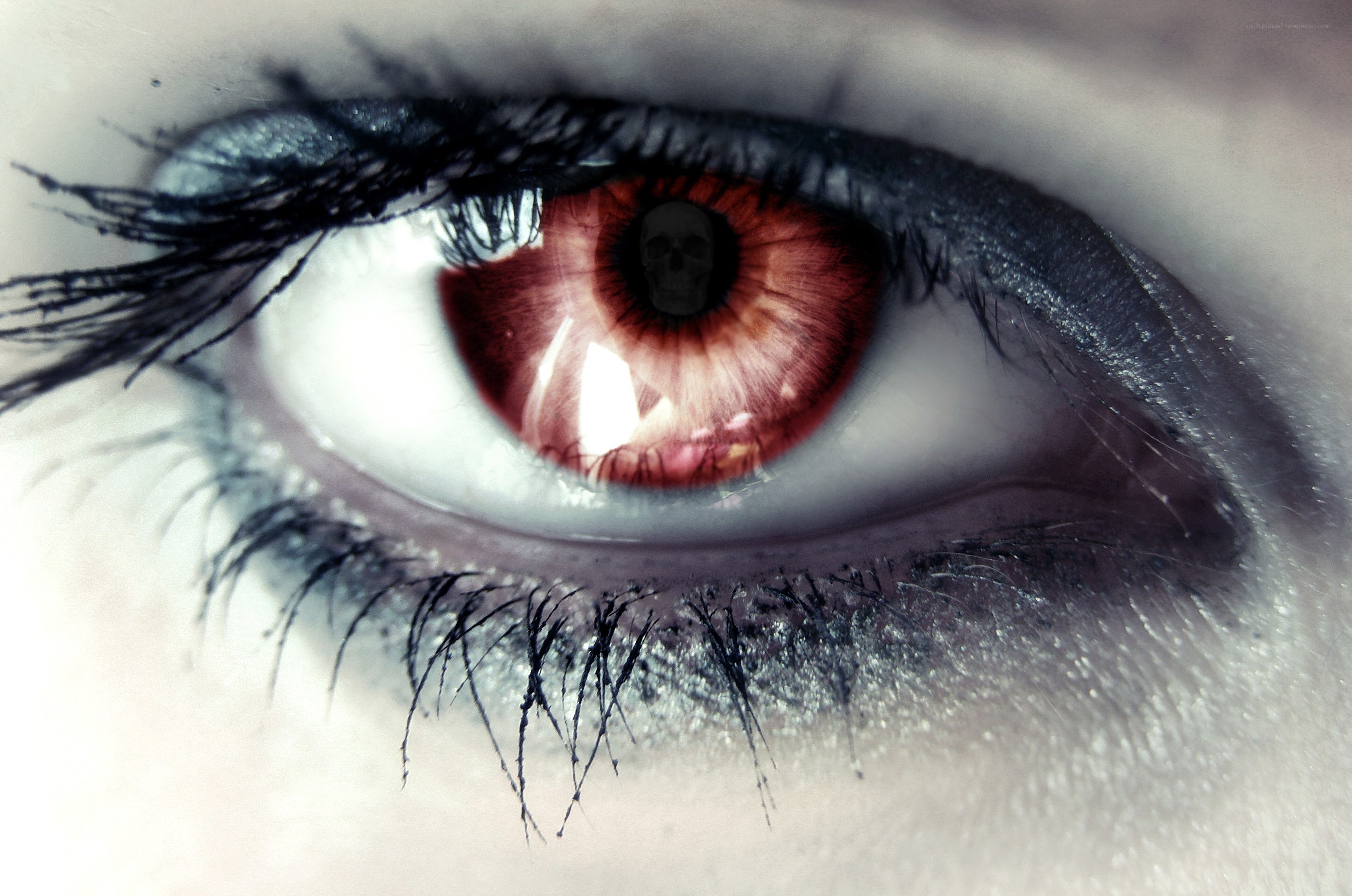 eye with skull reflection