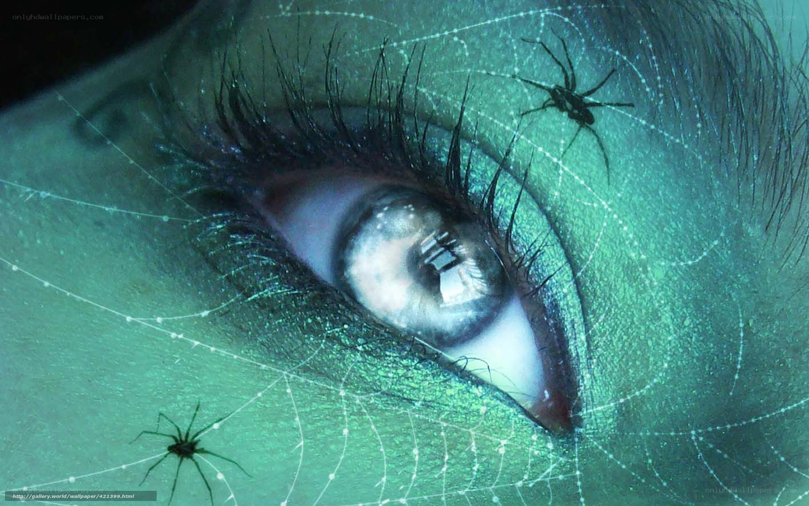 eye with spider web