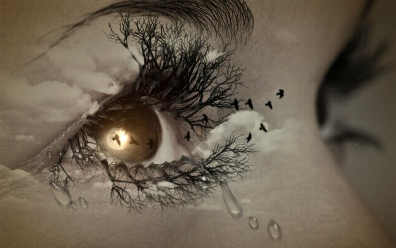 Eye with Tree Branches — Brown