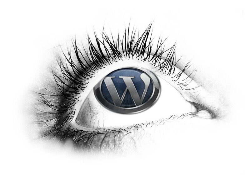 eye with wordpress logo