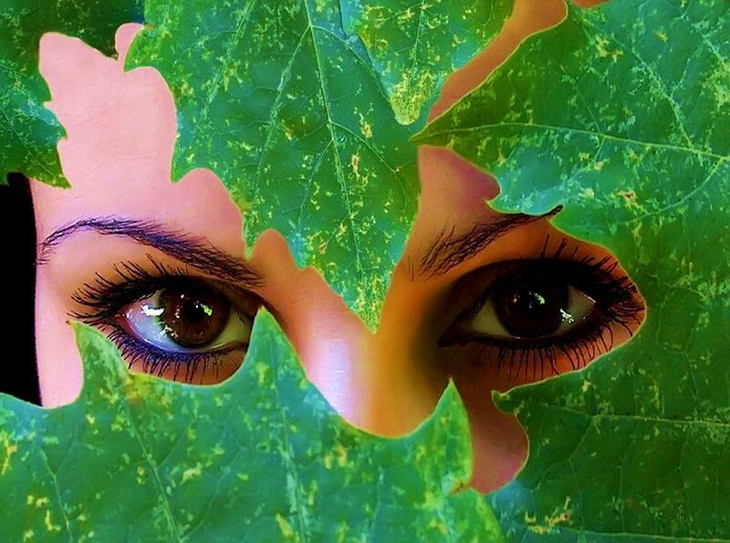 Eyes Behind a Leaf