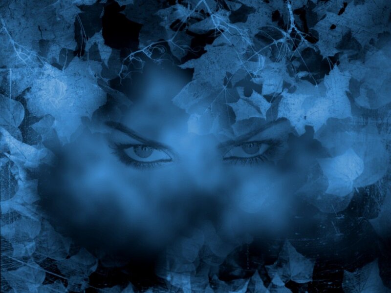 Eyes in Blue Leaves