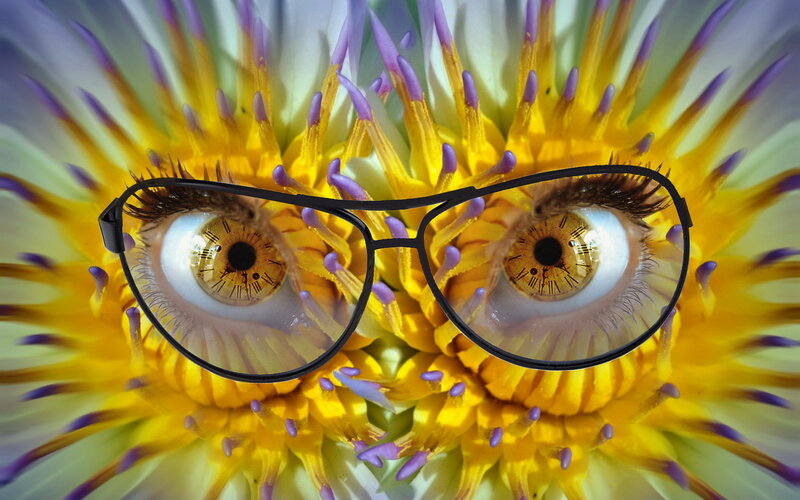 Eyes in Flower