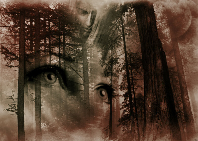 Eyes in Forest