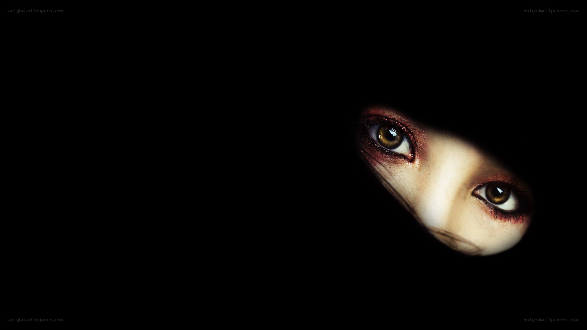 eyes in the dark
