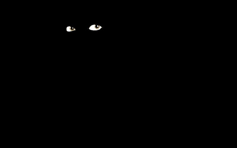 eyes in the dark