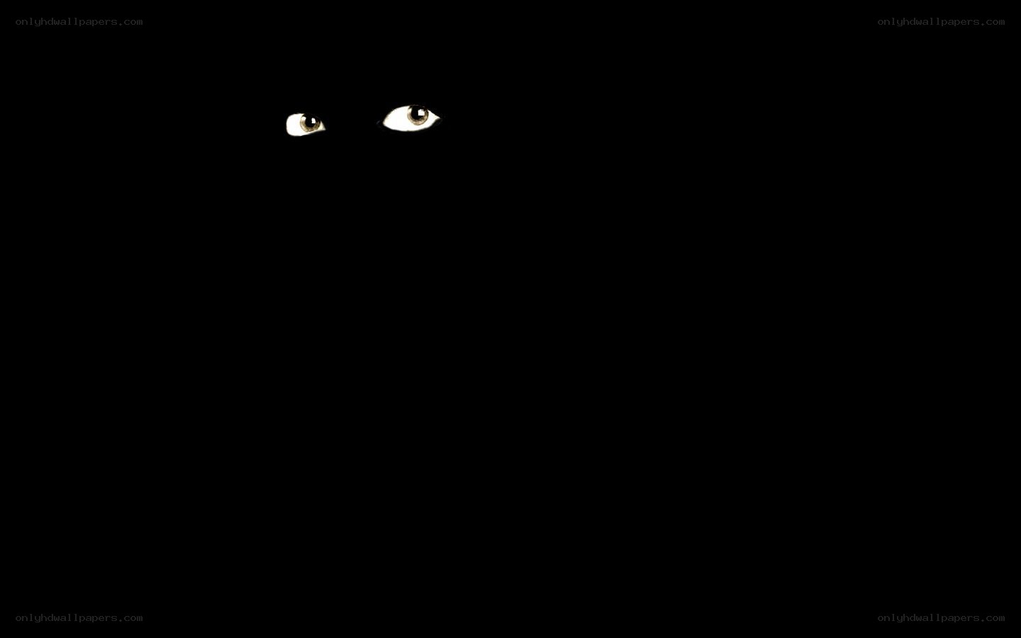 eyes in the dark
