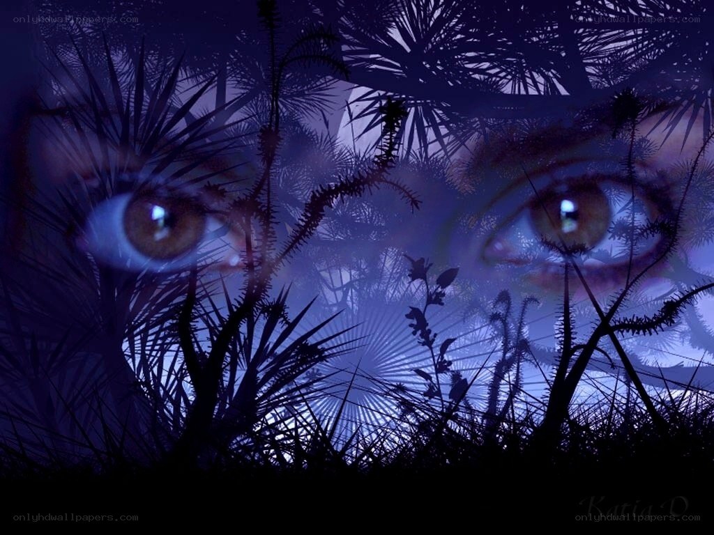 Eyes in the Night Forest