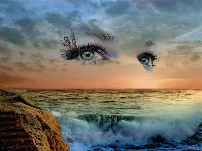 Eyes in the Sky