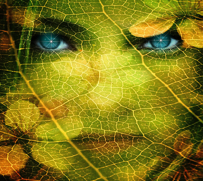 eyes through leaf texture