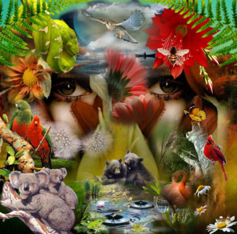 Eyes with Animals and Plants