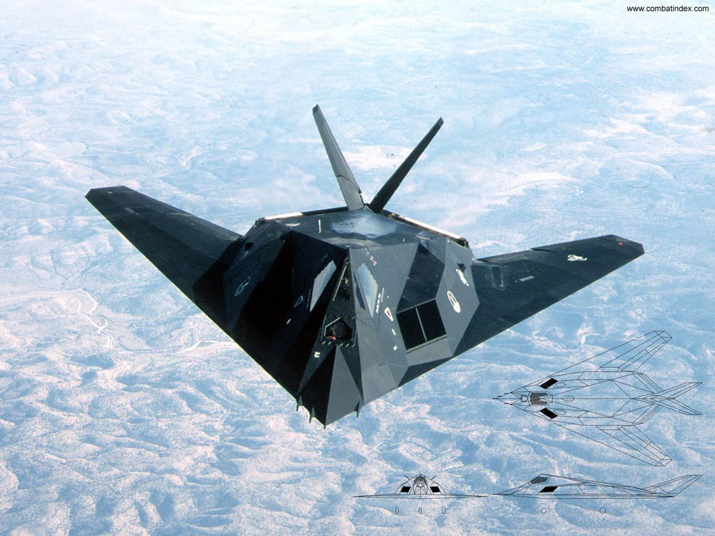 F-117 Nighthawk in flight