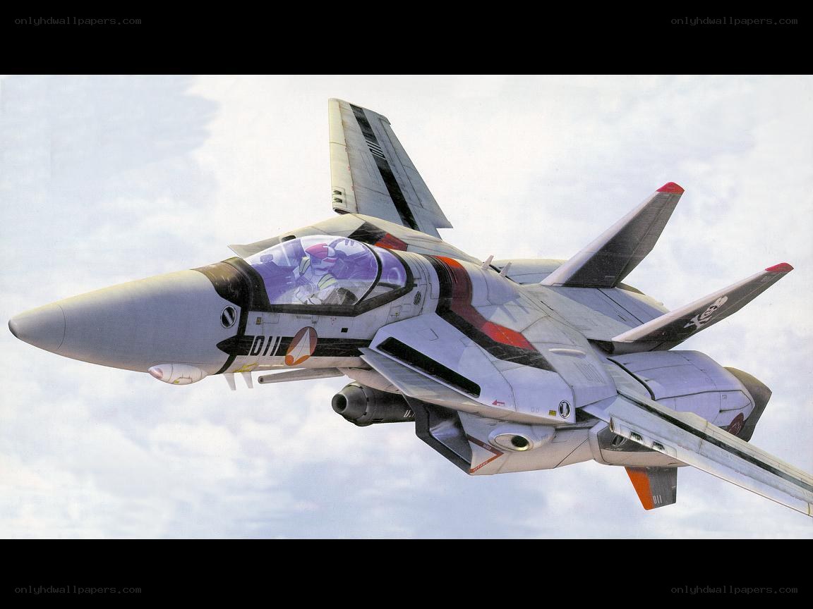 f-14 fighter jet in flight