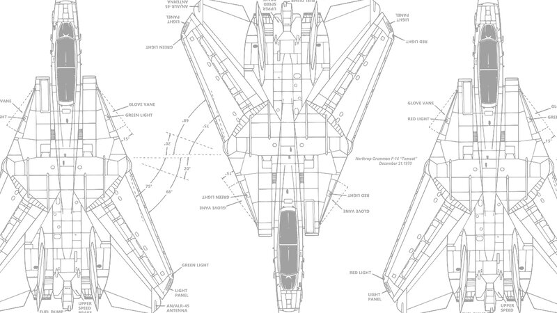 F-14 Tomcat Aircraft