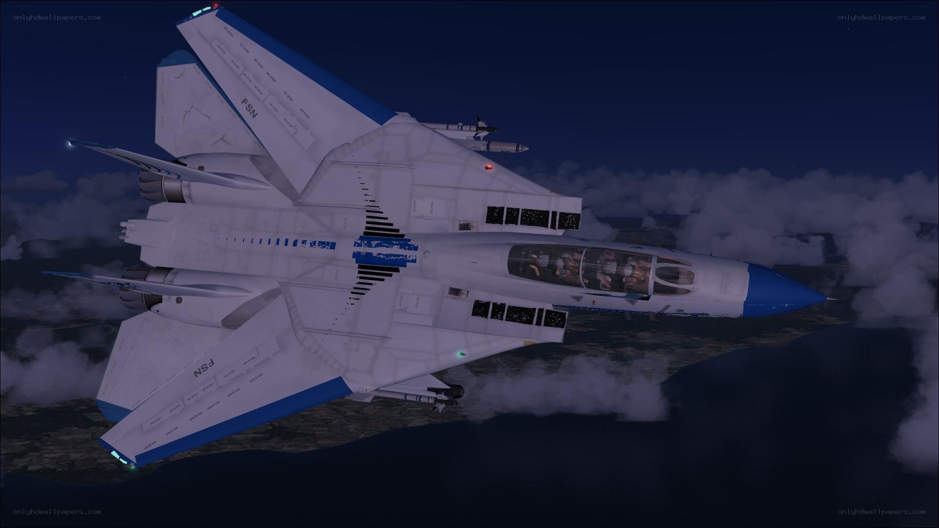 F-14 Tomcat at night