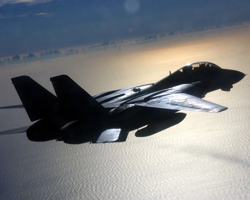 F-14 Tomcat Fighter Jet — Blue