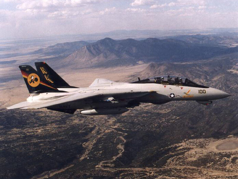 F-14 Tomcat Fighter Jet — Gray, Aerial