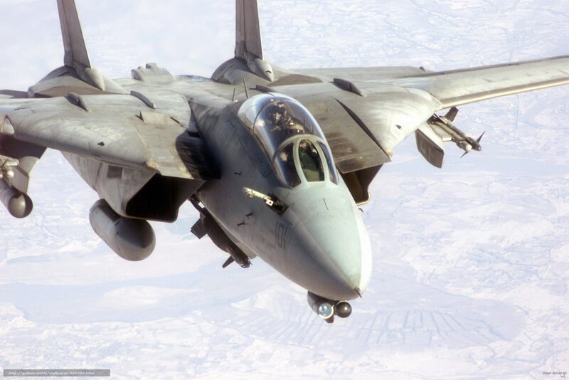 F-14 Tomcat Fighter Jet — Gray, Dramatic, Photograph
