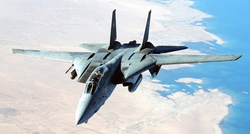 F-14 Tomcat Fighter Jet — Gray, Dramatic