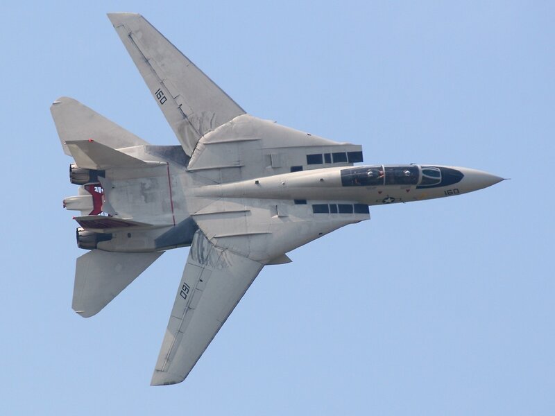 F-14 Tomcat Fighter Jet — Gray, Dynamic