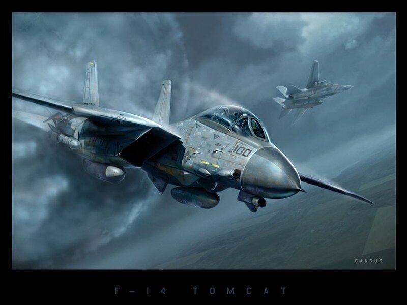F-14 Tomcat Fighter