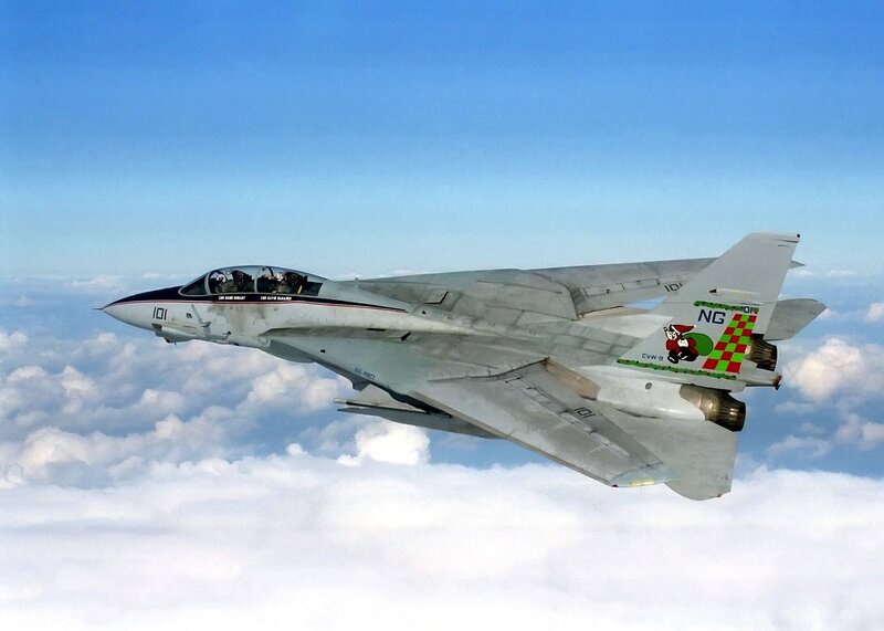 F-14 Tomcat in flight