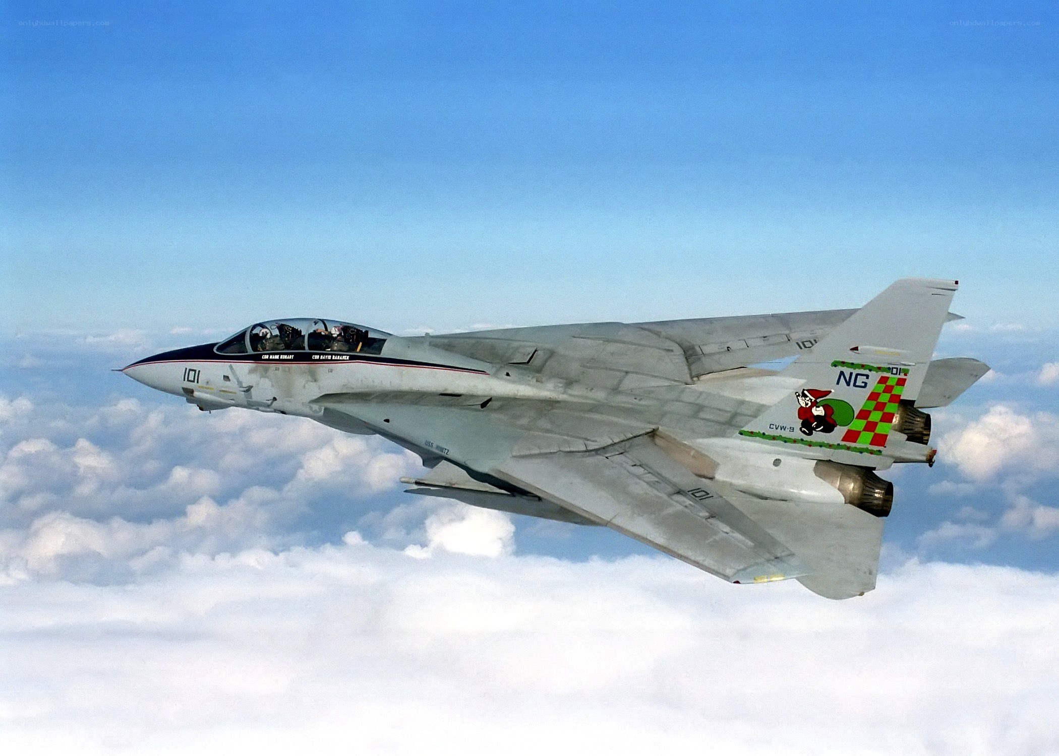 F-14 Tomcat in flight