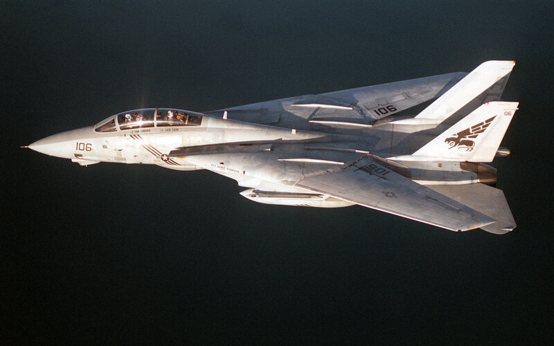 F-14 Tomcat in flight