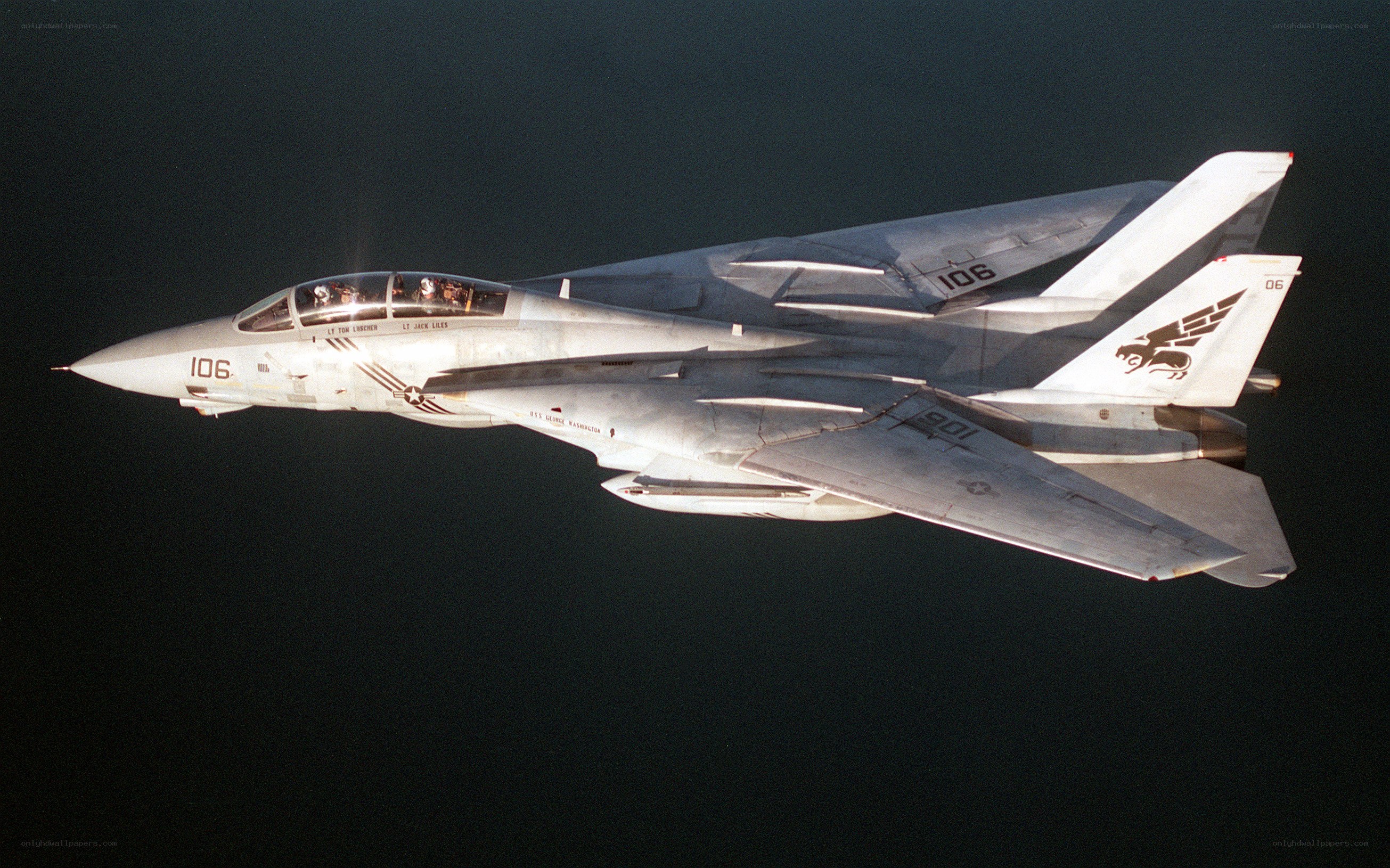 F-14 Tomcat in flight
