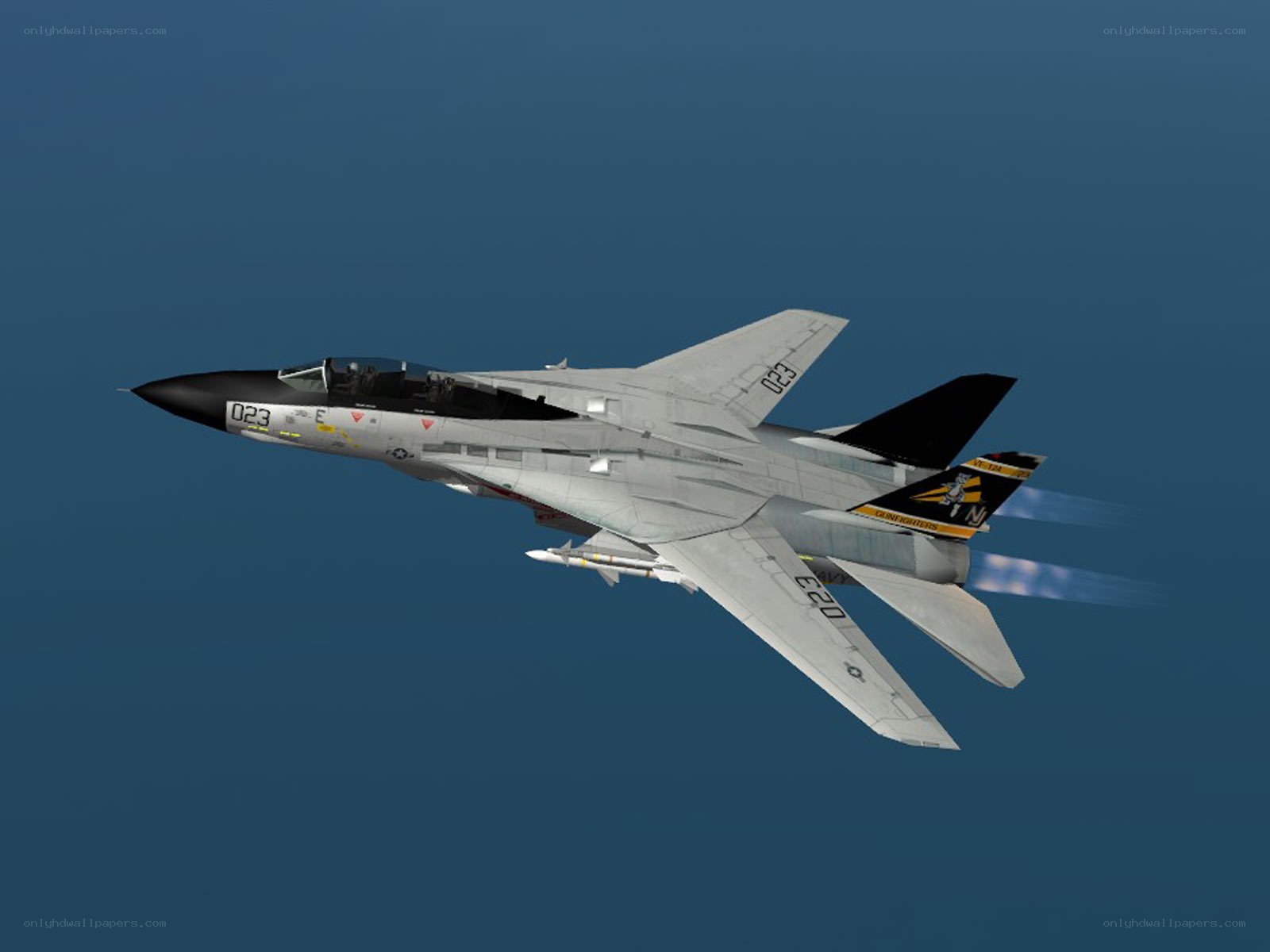 F-14 Tomcat in flight