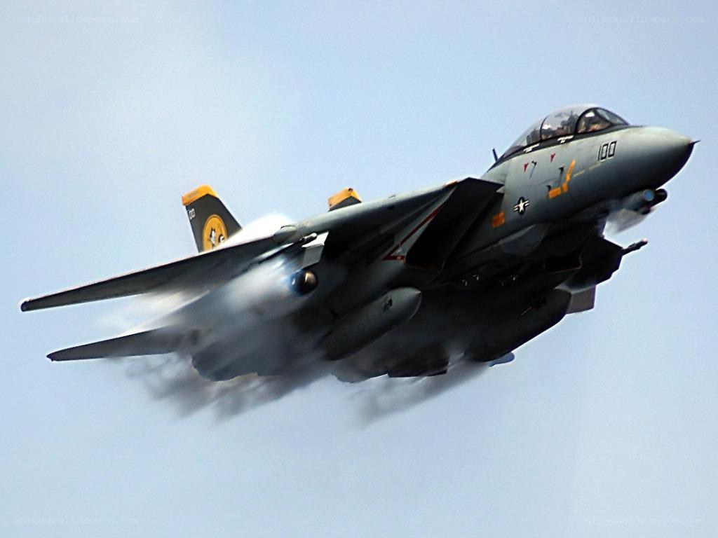 F-14 Tomcat in flight