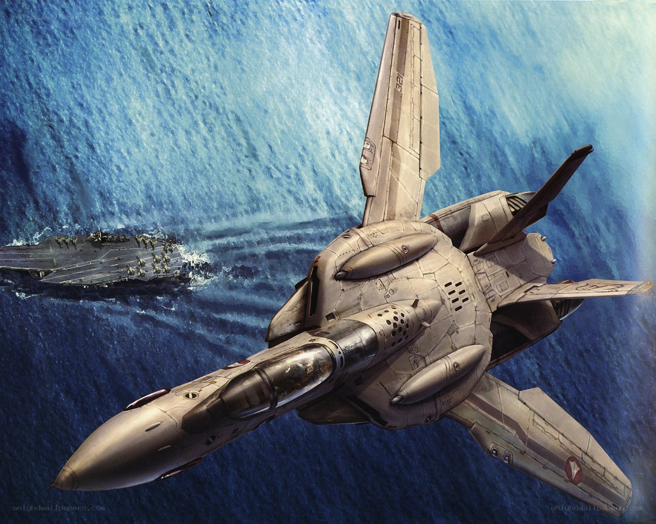 F-14 Tomcat in flight