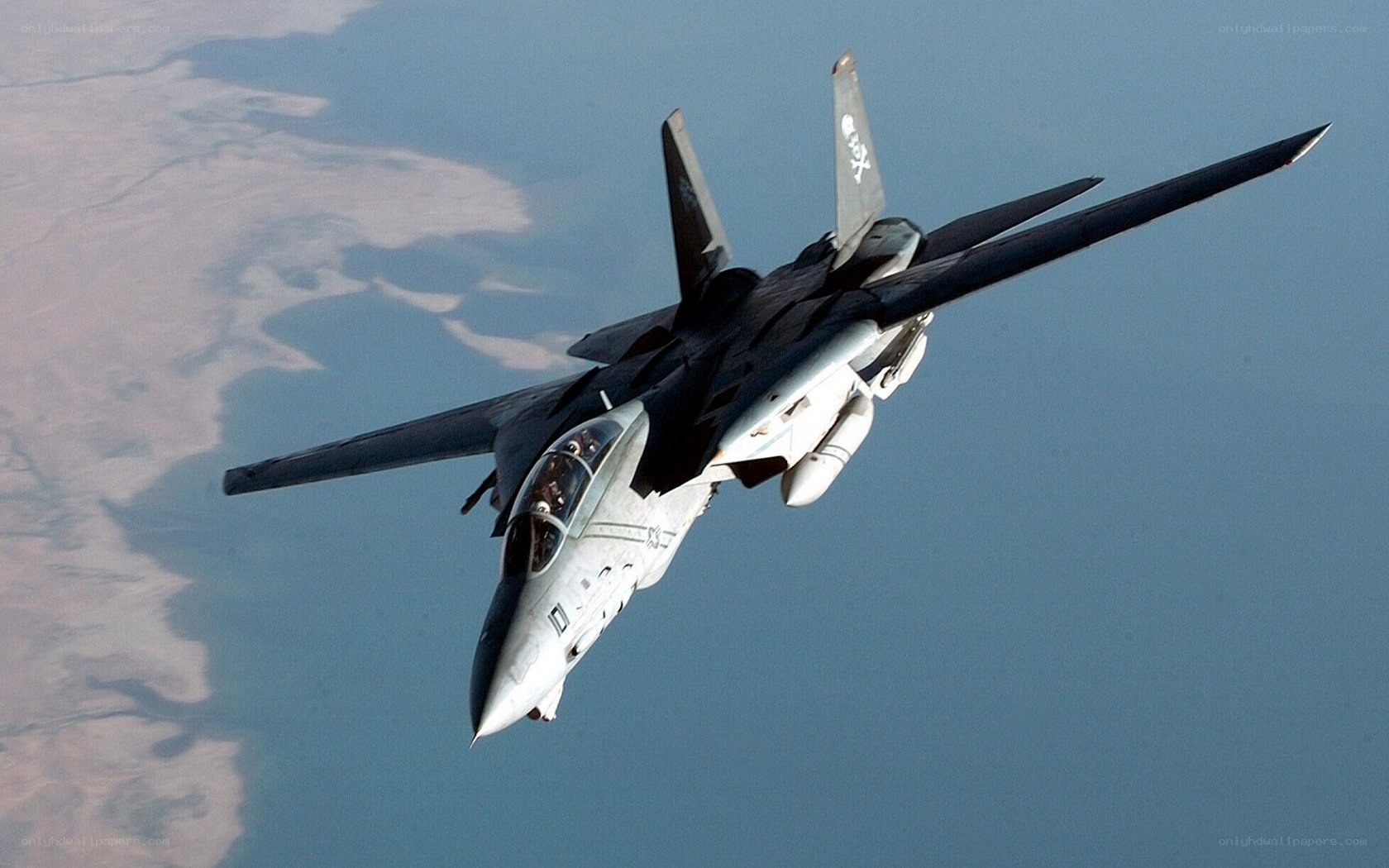 F-14 Tomcat in flight