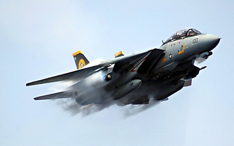 F-14 Tomcat in flight