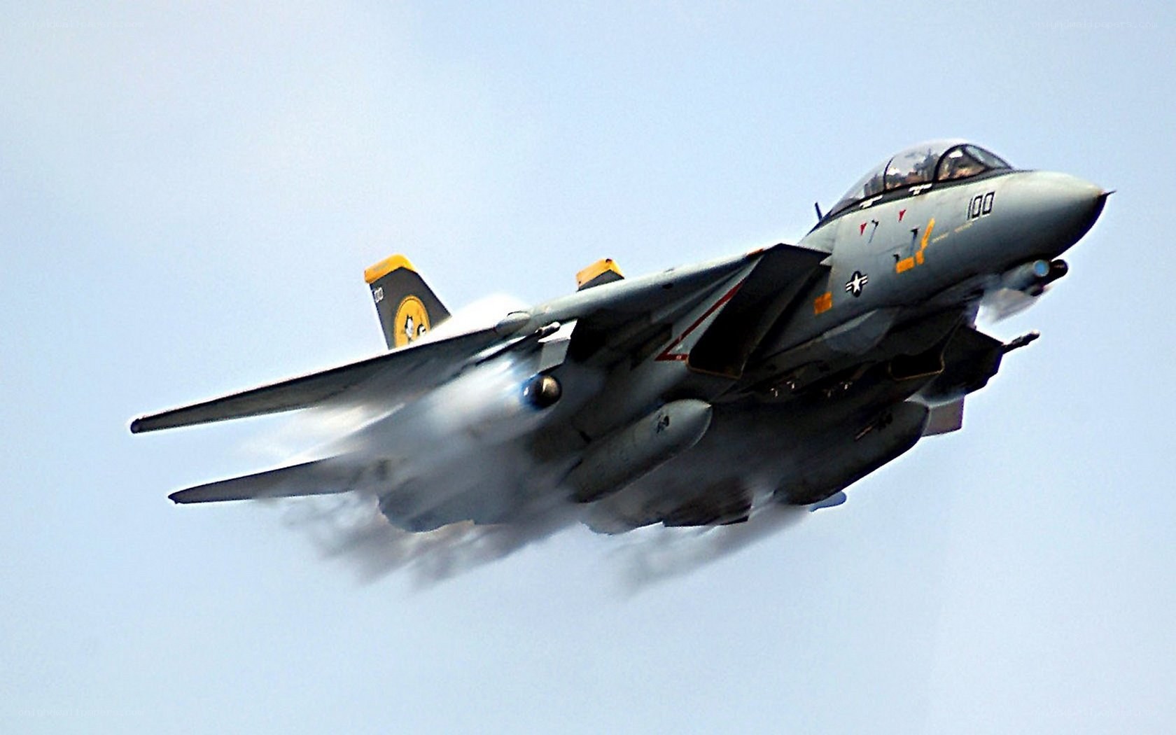 F-14 Tomcat in flight